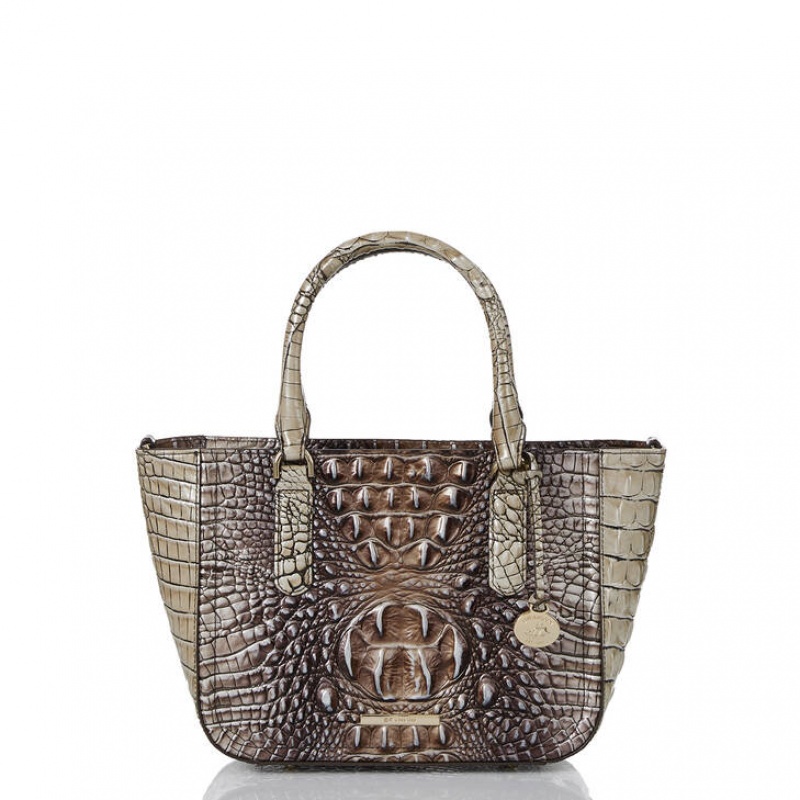 Grey Women\'s Brahmin Small Ashlee Satchel Bags | 7936AYKJV