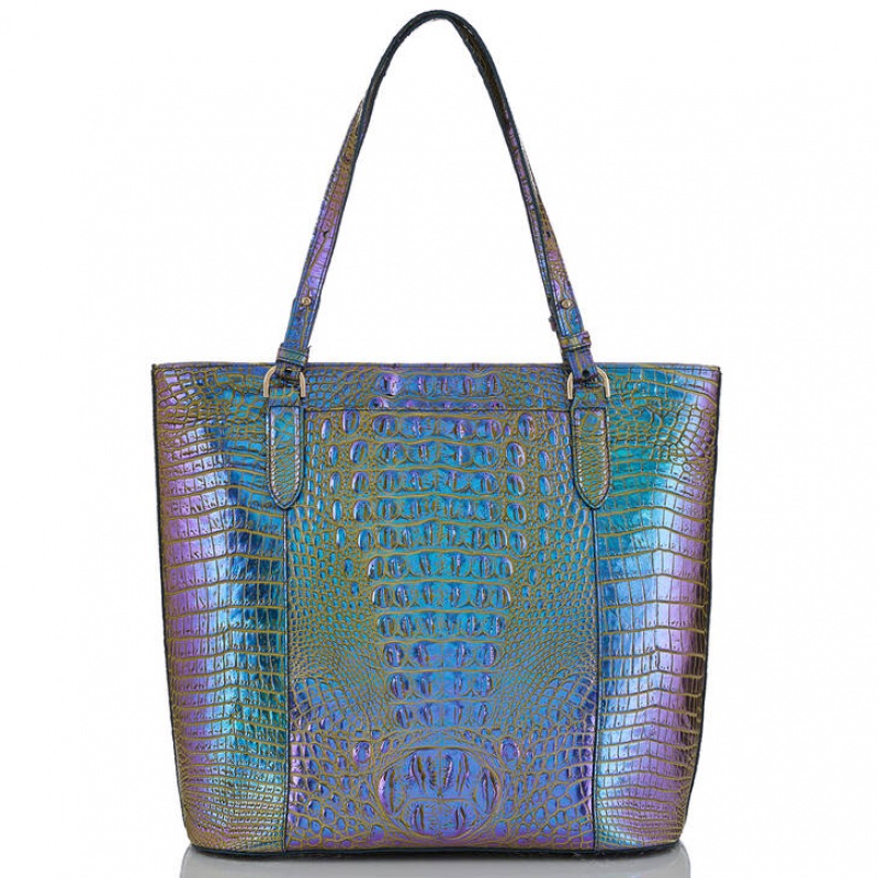 Multicolor Women's Brahmin Abigail Tote Bags | 0782XBGWQ