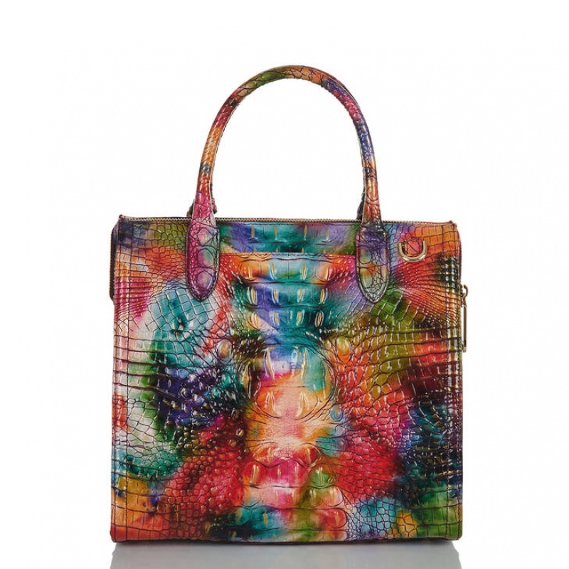 Multicolor Women's Brahmin Caroline Satchel Bags | 7235TXNEO