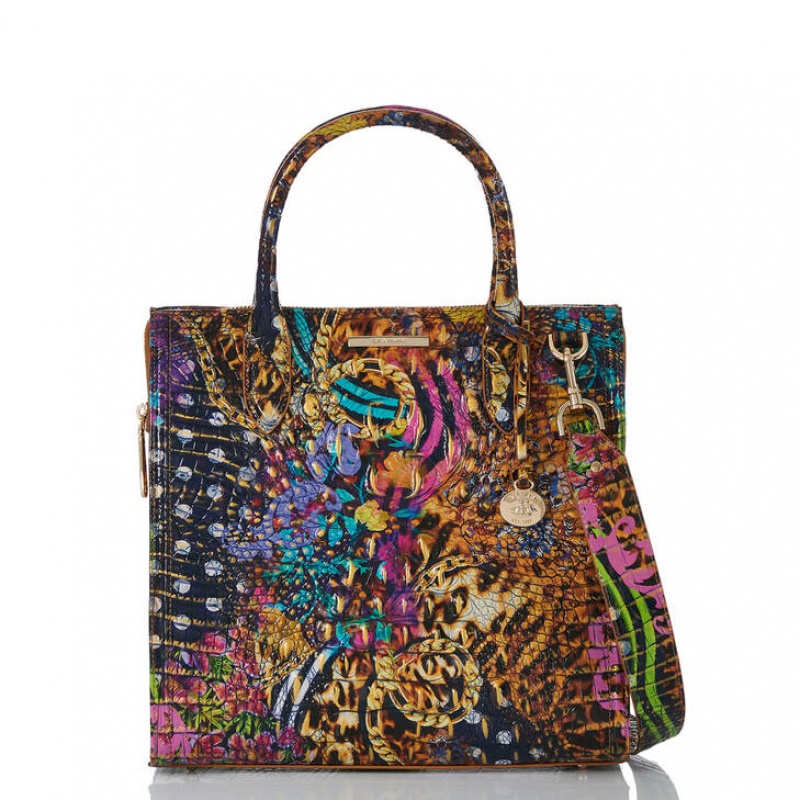 Multicolor Women's Brahmin Caroline Satchel Bags | 8950ASENM