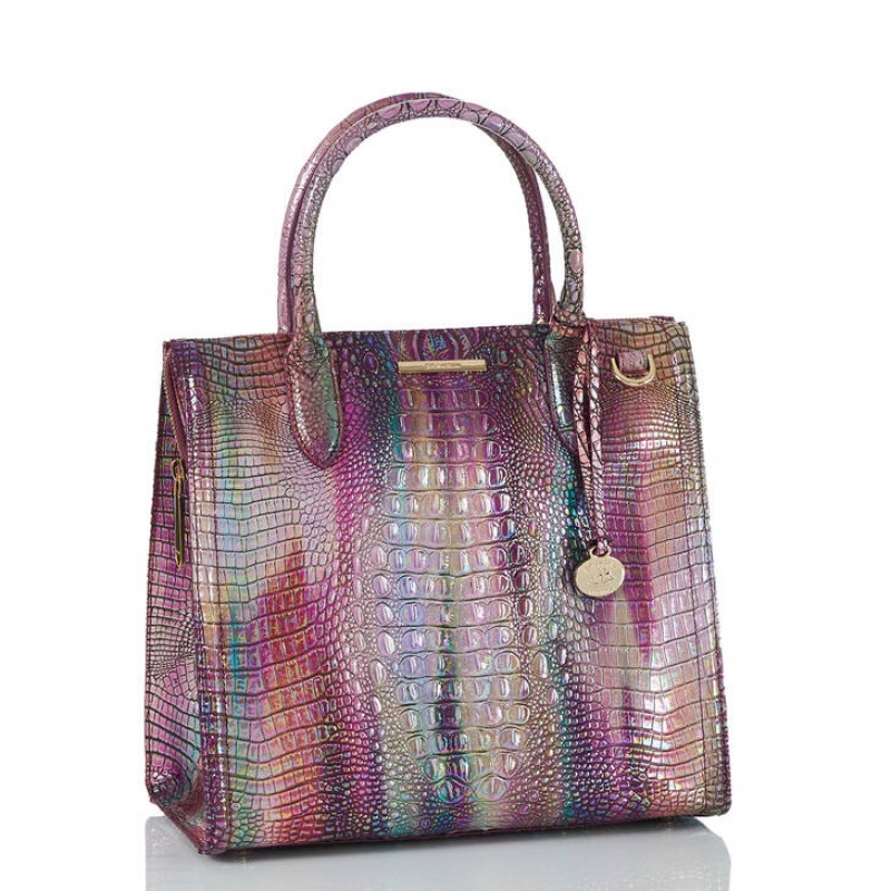 Multicolor Women's Brahmin Caroline Satchel Bags | 0127BWEIK