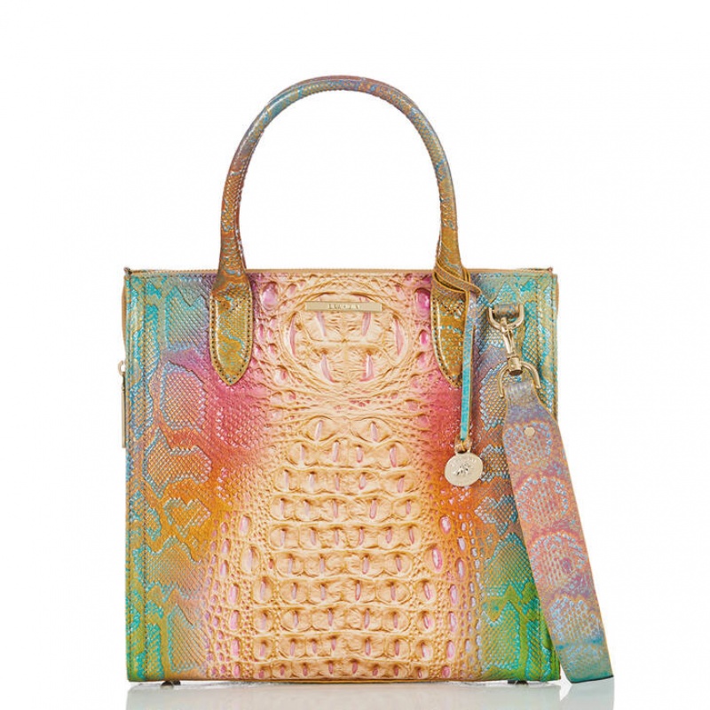 Multicolor Women's Brahmin Caroline Satchel Bags | 3628JDITW