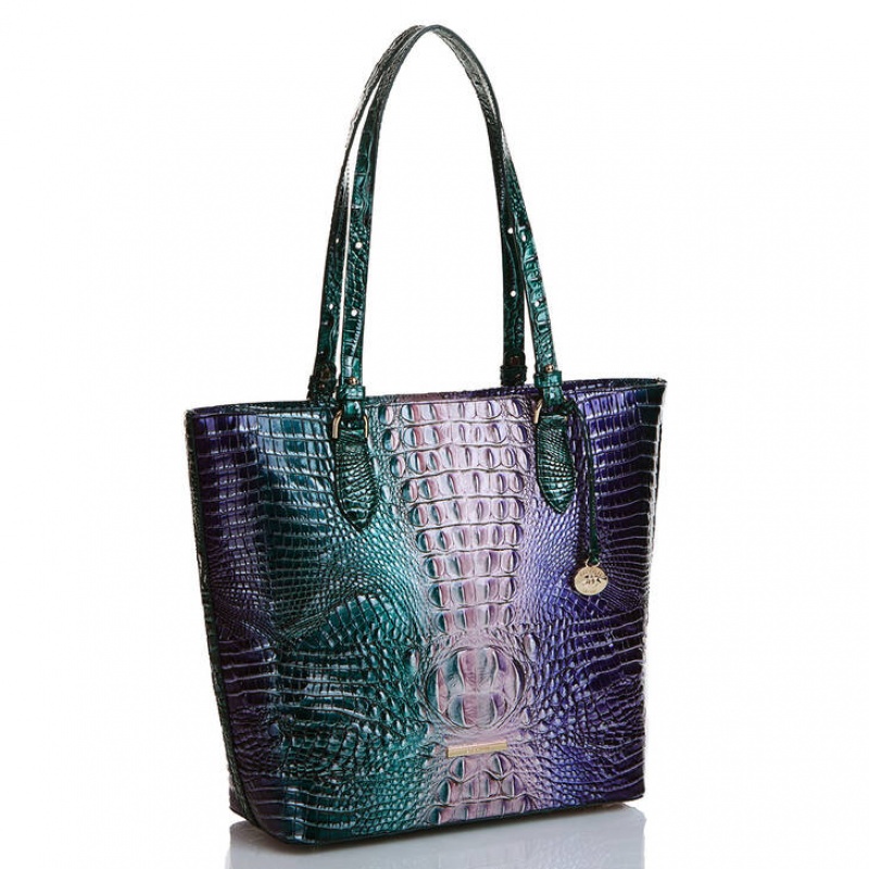 Multicolor Women's Brahmin Ellen Tote Bags | 0932CJHLA