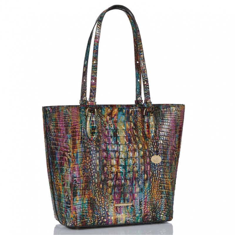 Multicolor Women\'s Brahmin Ellen Tote Bags | 1085HNILF