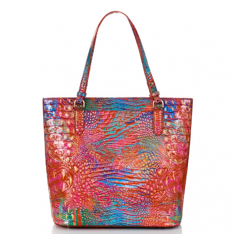 Multicolor Women's Brahmin Ezra Tote Bags | 6241EFTYZ