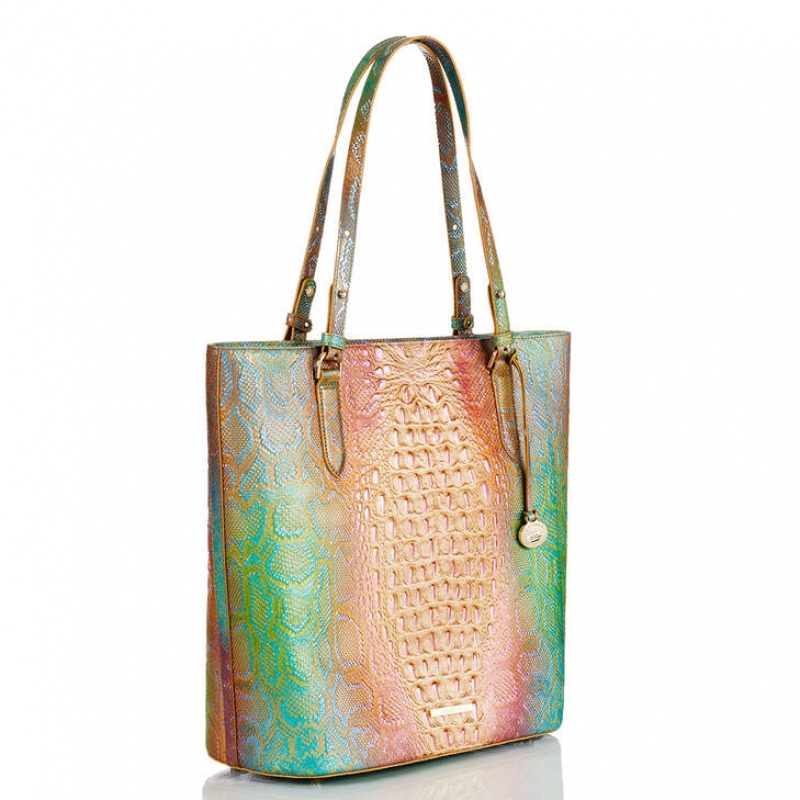 Multicolor Women's Brahmin Ezra Tote Bags | 8270QLTDX