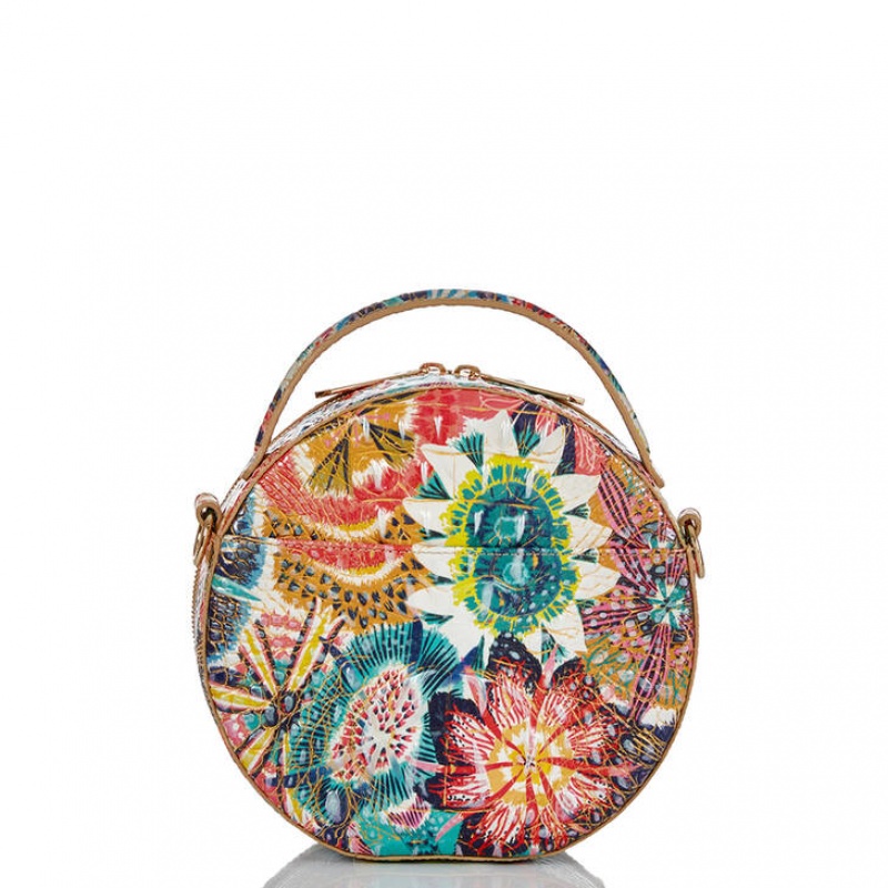 Multicolor Women's Brahmin Lane Crossbody Bags | 1439PRIDL