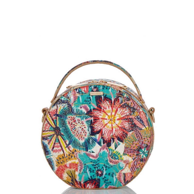 Multicolor Women's Brahmin Lane Crossbody Bags | 1439PRIDL