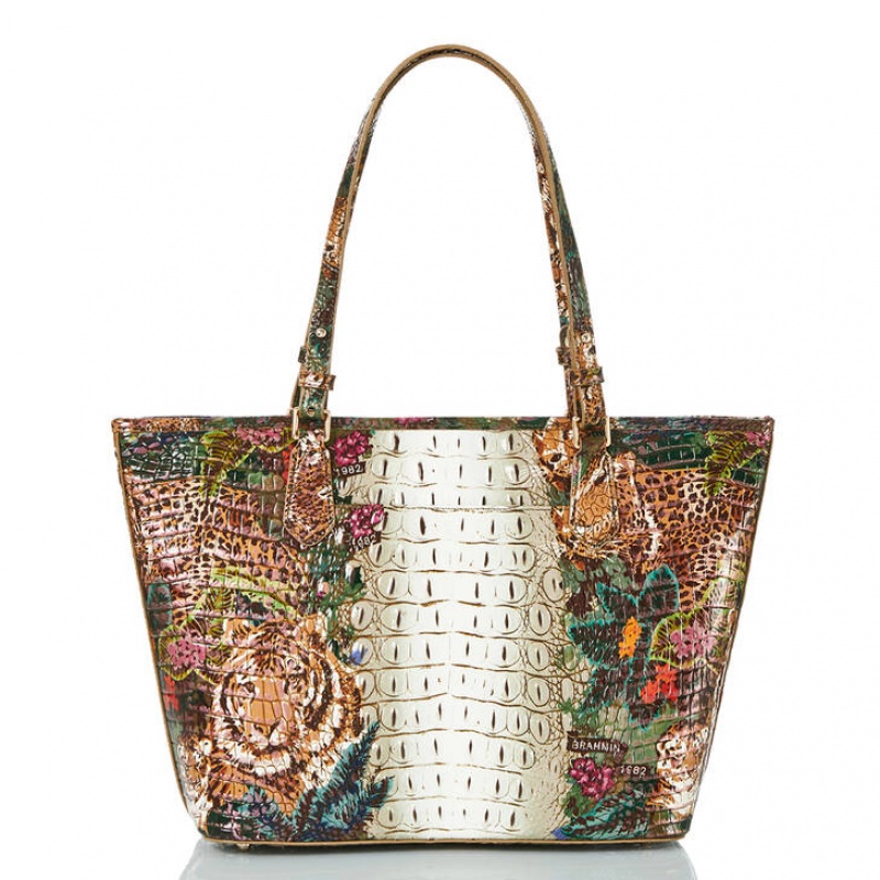 Multicolor Women's Brahmin Medium Asher Tote Bags | 3167LAKWS