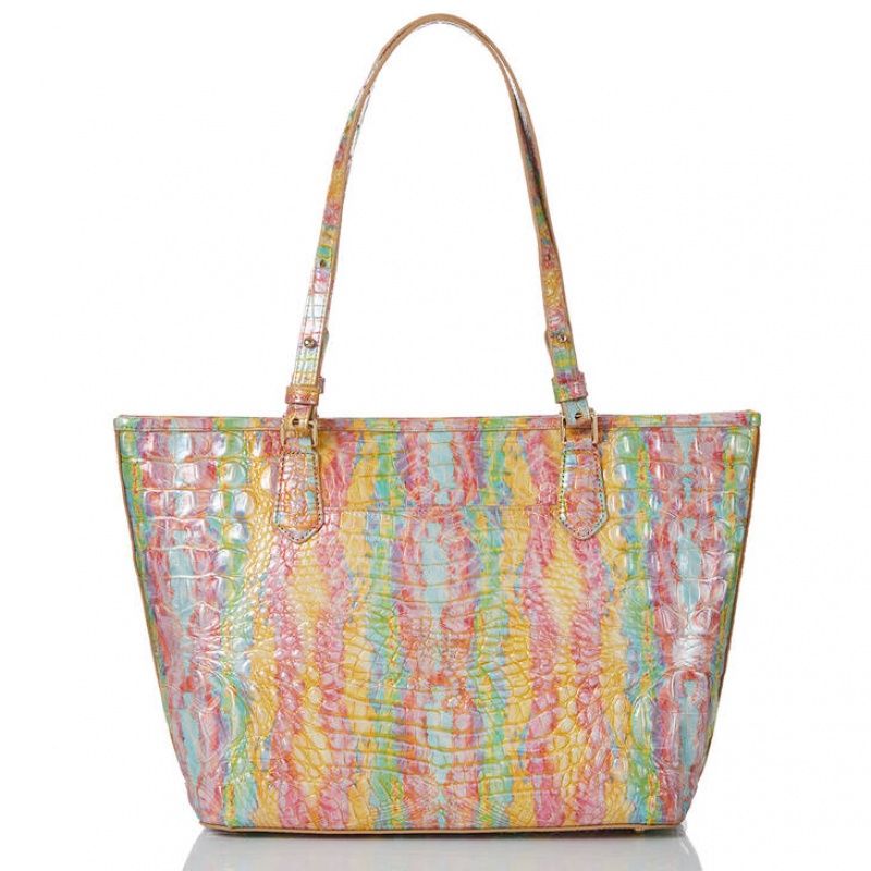 Multicolor Women's Brahmin Medium Asher Tote Bags | 8901PGZNR