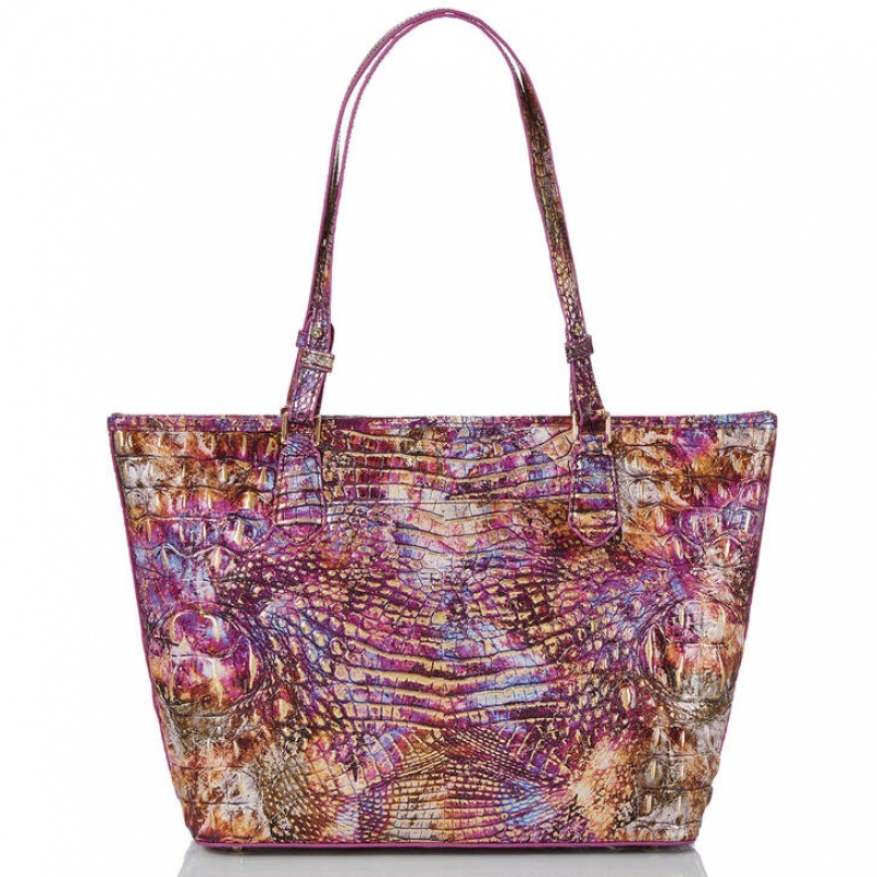 Multicolor Women's Brahmin Medium Asher Tote Bags | 8124EPSTB