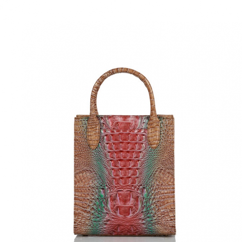 Multicolor Women's Brahmin Moira Tote Bags | 3067XUITG