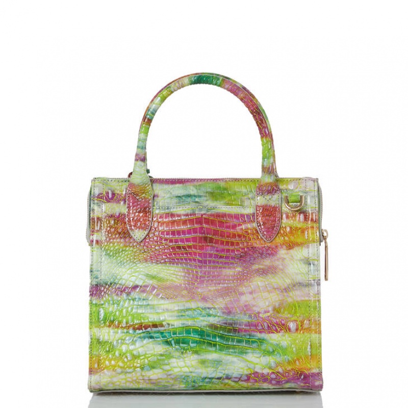 Multicolor Women's Brahmin Small Caroline Satchel Bags | 8062NXBYS