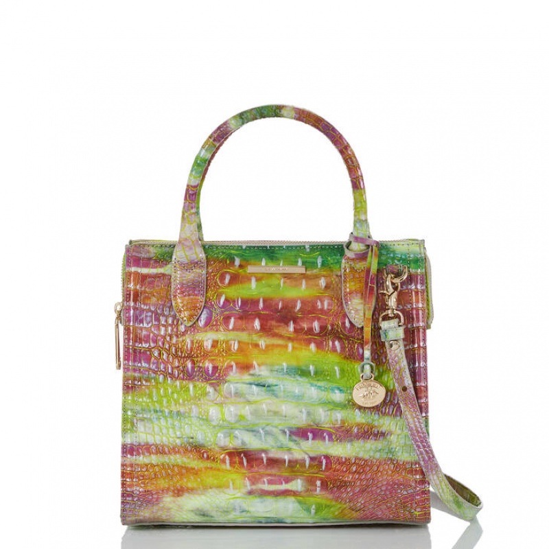 Multicolor Women's Brahmin Small Caroline Satchel Bags | 8062NXBYS