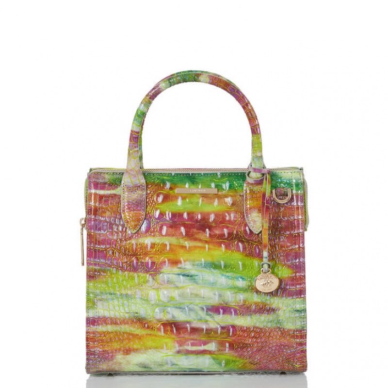 Multicolor Women\'s Brahmin Small Caroline Satchel Bags | 8062NXBYS