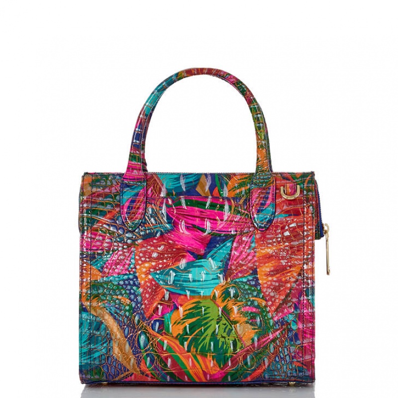 Multicolor Women's Brahmin Small Caroline Satchel Bags | 8197CDZYW