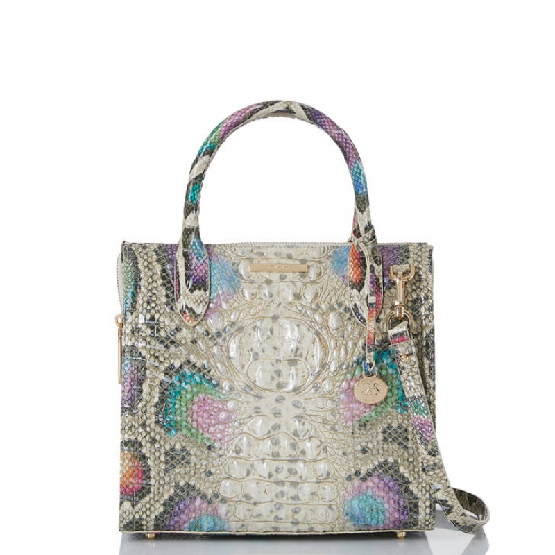 Multicolor Women's Brahmin Small Caroline Satchel Bags | 3504GNFXA