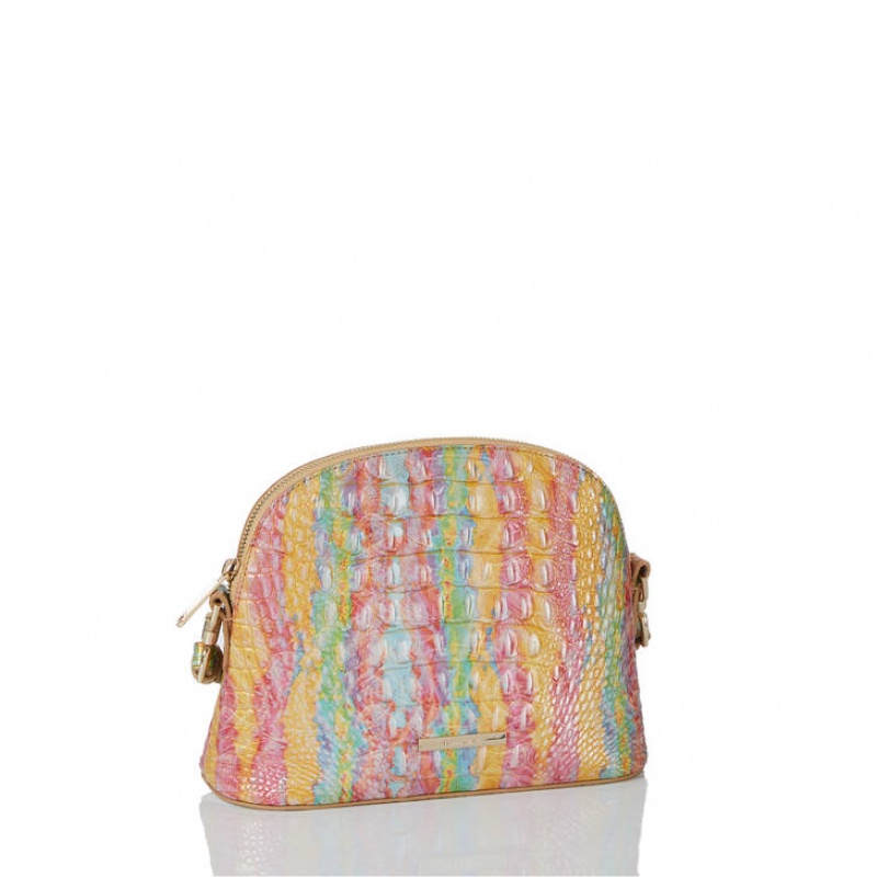 Multicolor Women's Brahmin Small Georgina Crossbody Bags | 3198FBOXN