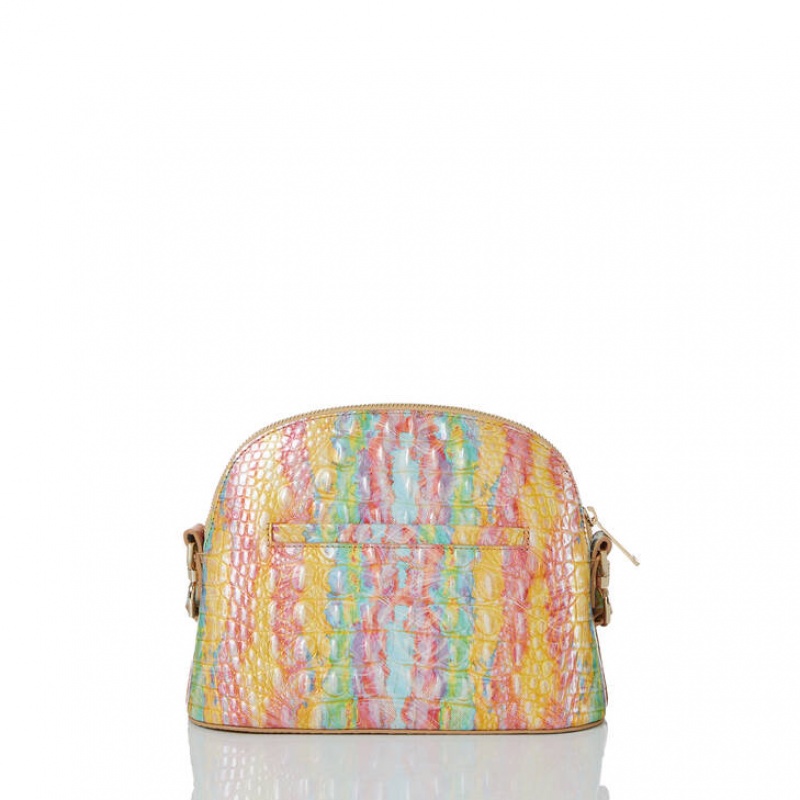 Multicolor Women's Brahmin Small Georgina Crossbody Bags | 3198FBOXN