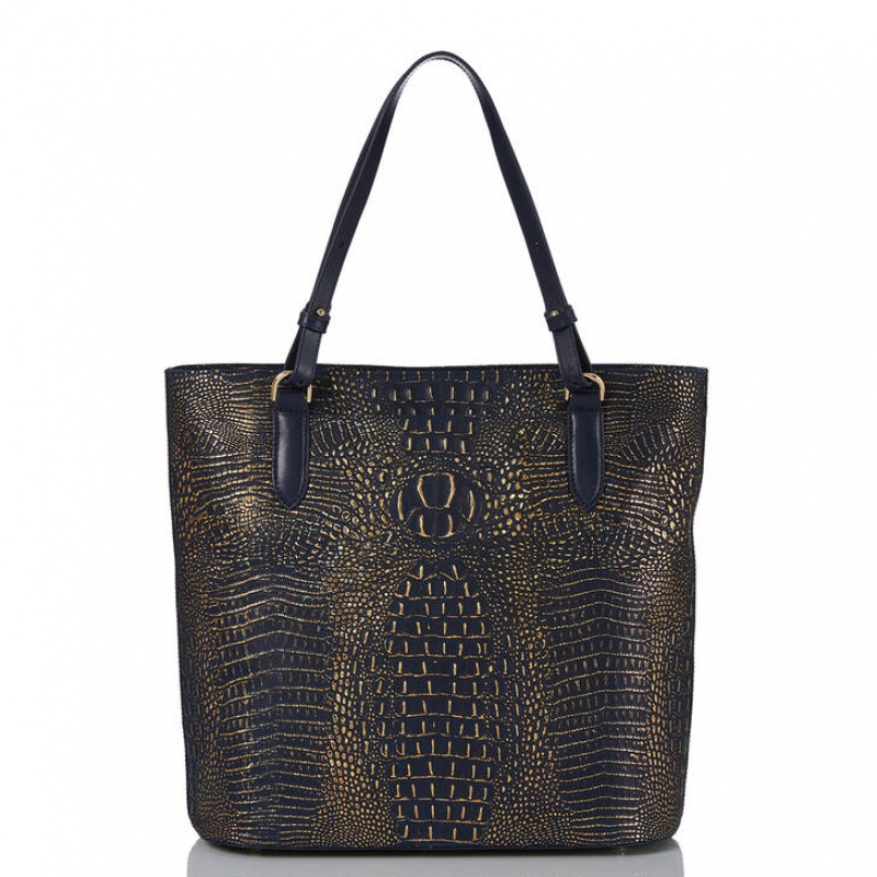 Navy Women's Brahmin Ezra Tote Bags | 9370GIAFO