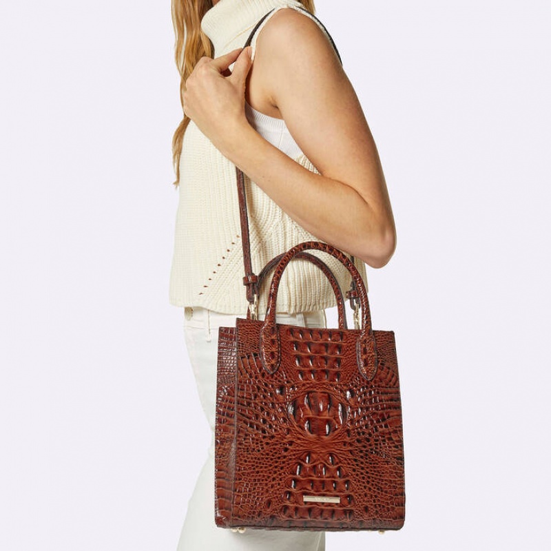 Pink Women's Brahmin Moira Tote Bags | 0246NUJLM