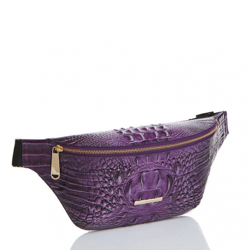 Purple Women's Brahmin Harker Crossbody Bags | 2051SOPXA