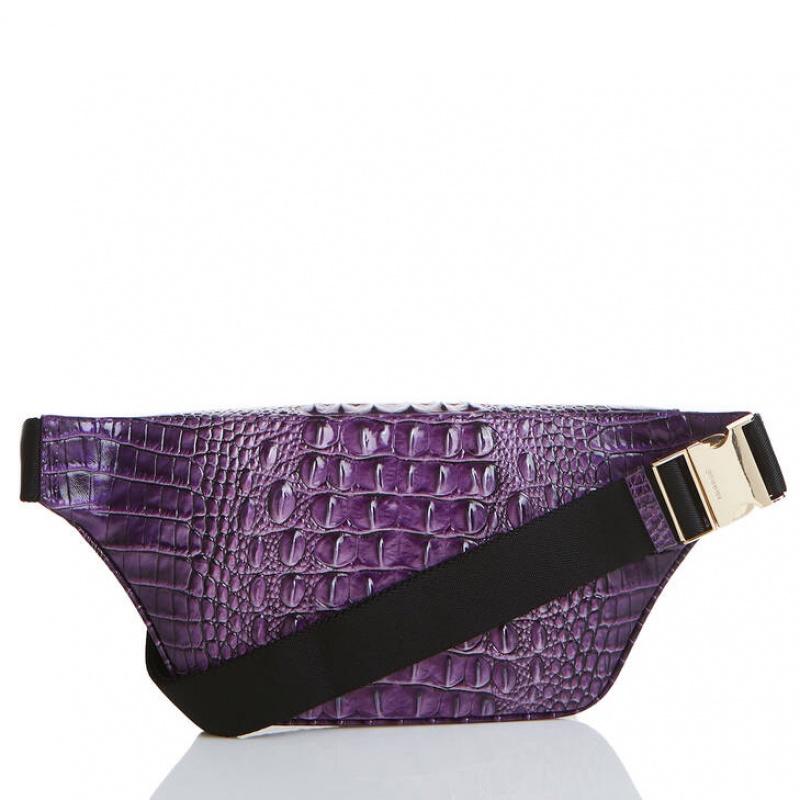 Purple Women's Brahmin Harker Crossbody Bags | 2051SOPXA