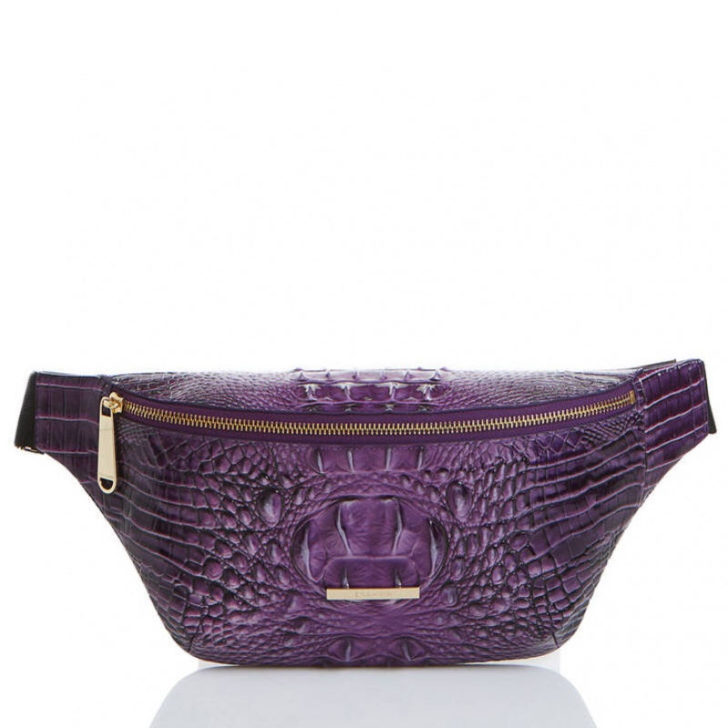 Purple Women\'s Brahmin Harker Crossbody Bags | 2051SOPXA