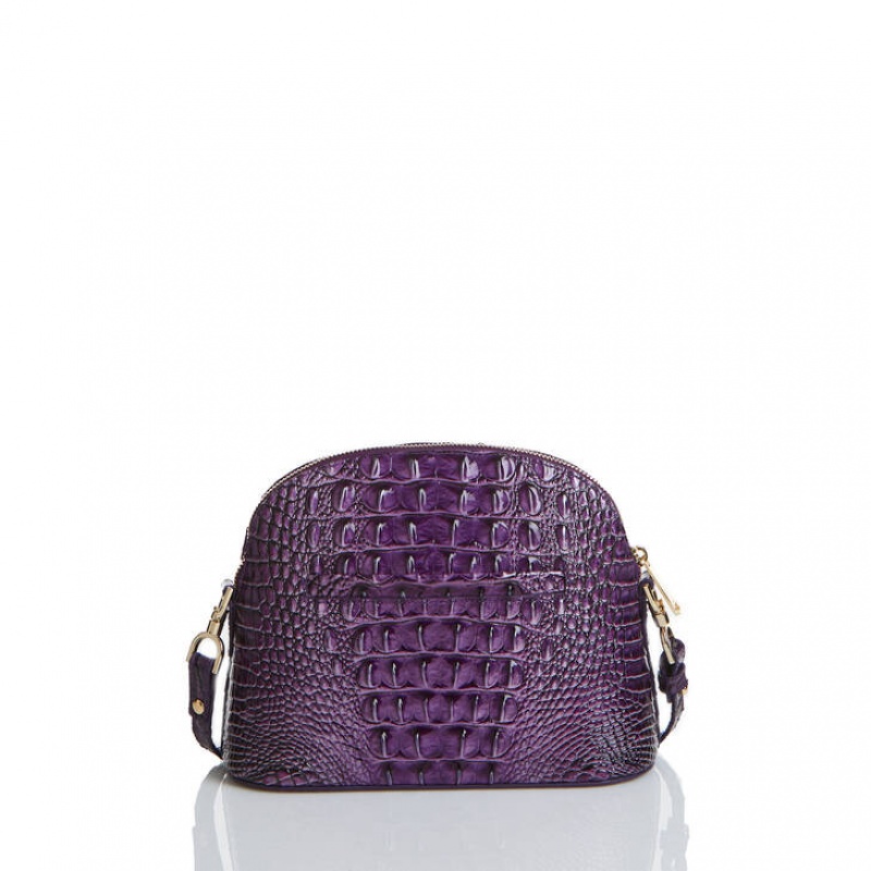 Purple Women's Brahmin Small Georgina Crossbody Bags | 3524NAVFK