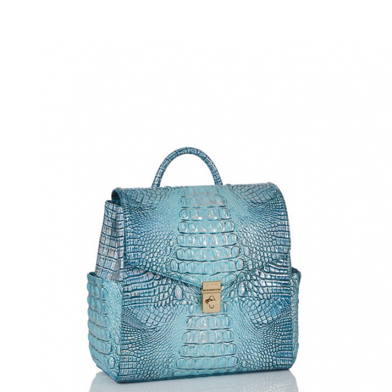 Turquoise Women\'s Brahmin Liz Backpacks | 6831CUJXF