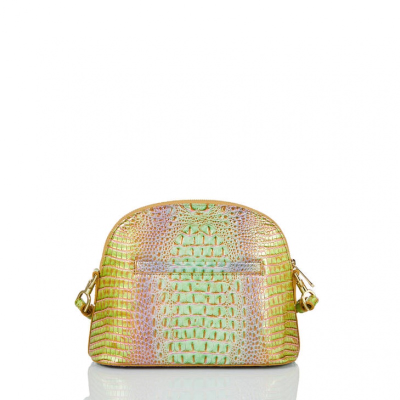 Yellow Women's Brahmin Small Georgina Crossbody Bags | 7193IRZEM