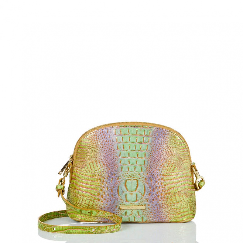 Yellow Women\'s Brahmin Small Georgina Crossbody Bags | 7193IRZEM